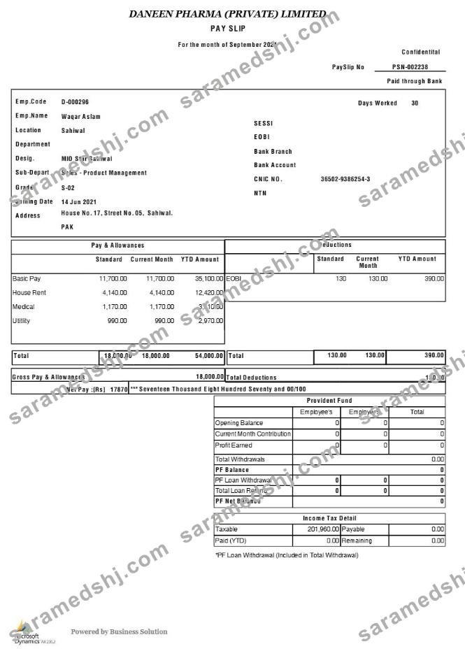 Daneen Pharma payslip template in Word and PDF formats.pdf, 1